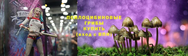 дживик Абинск