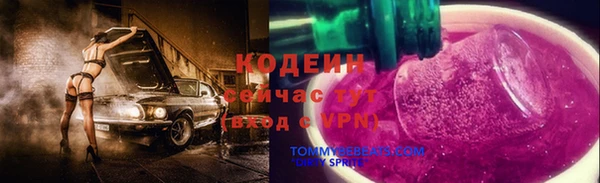 дживик Абинск