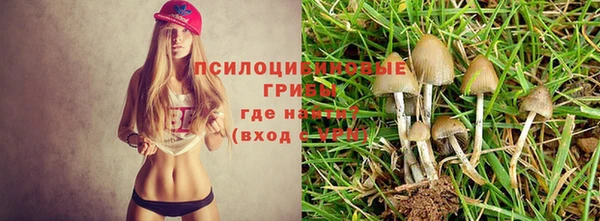 каннабис Абаза