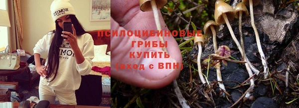 каннабис Абаза