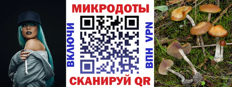 Галлюциногенные грибы Cubensis  где купить наркотик  МЕГА ссылка  Шарыпово 