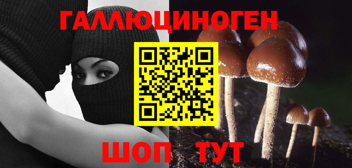 Псилоцибиновые грибы прущие грибы Шарыпово